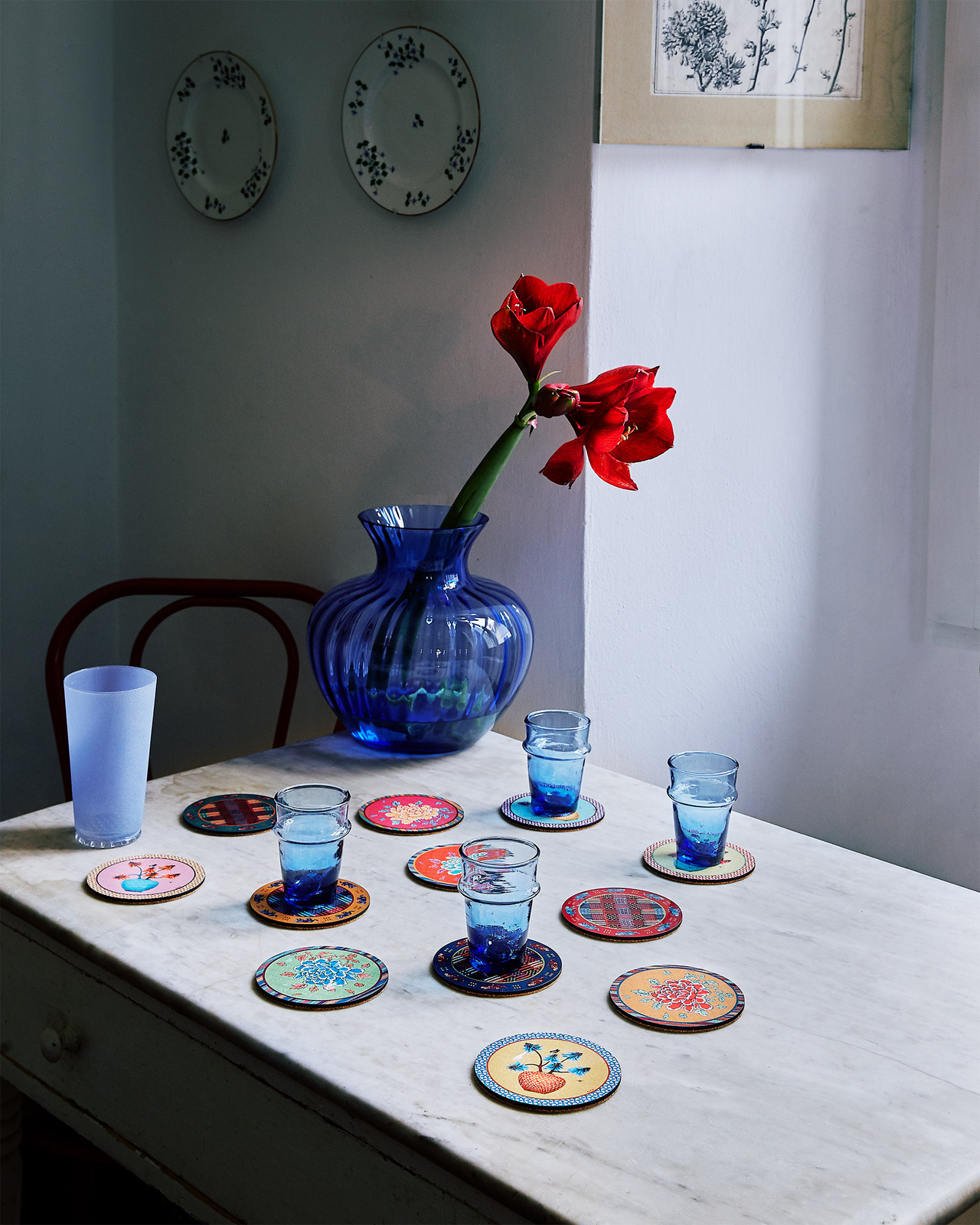 coaster-- sunrise coral