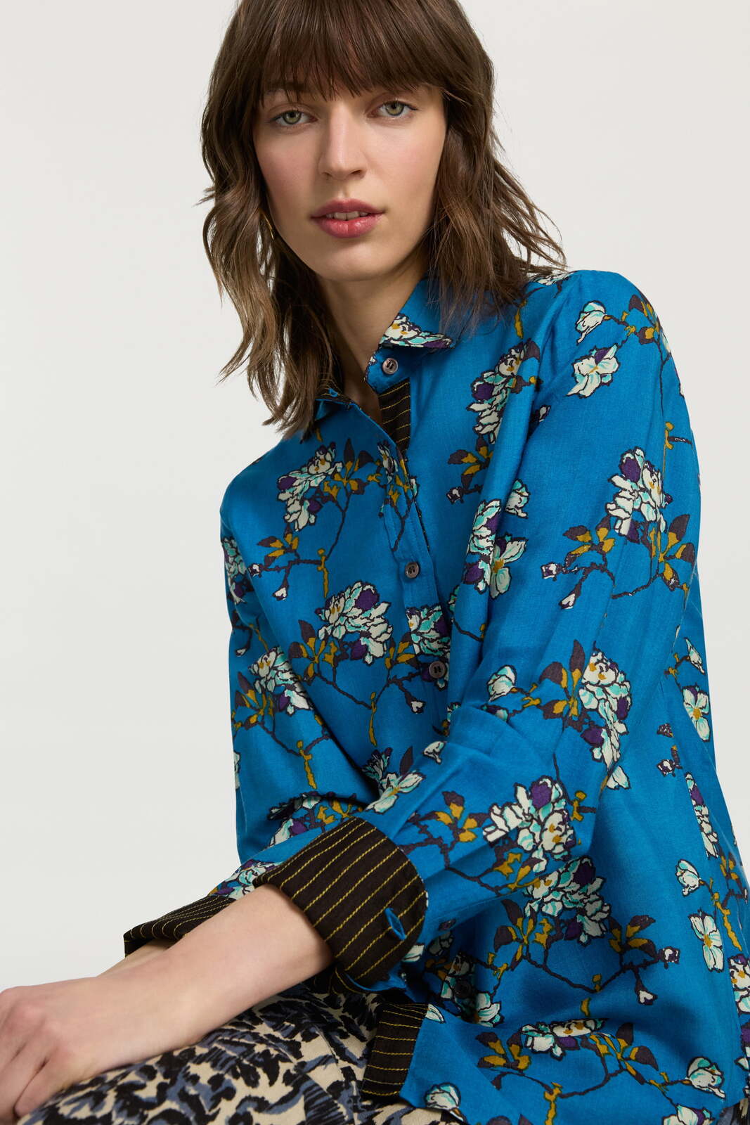 polo shirt--aomori sakura cobalt