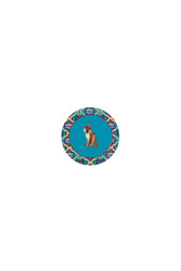 coaster--safarikat peacock