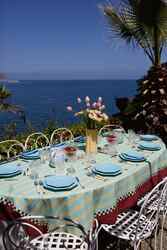 telo cotone 140x240cm--tiger light blue