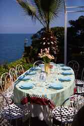 lisa corti x the socialite family telo cotone 180x270cm--tiger light blue