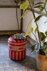 lisa corti x the socialite family ottoman--tiger bordeaux